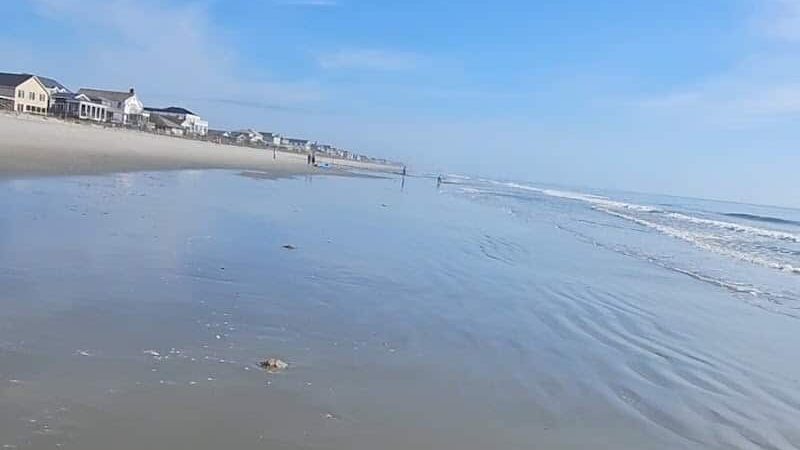 Surfside Beach Dog Park - Surfside Beach, SC