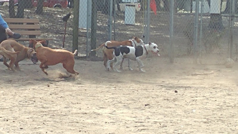 Surfside Beach Dog Park - Surfside Beach, SC
