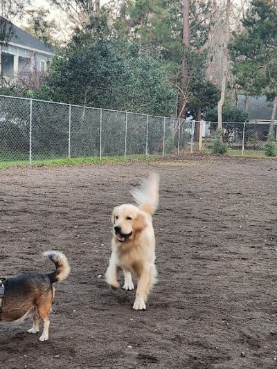 Surfside Beach Dog Park - Surfside Beach, SC