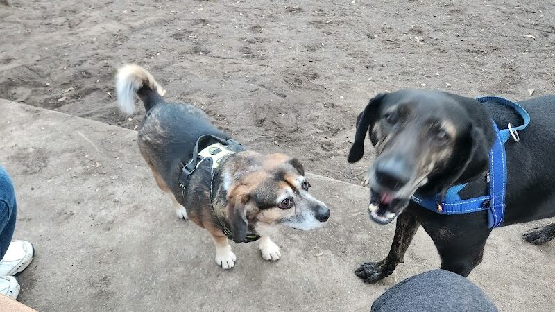 Surfside Beach Dog Park - Surfside Beach, SC