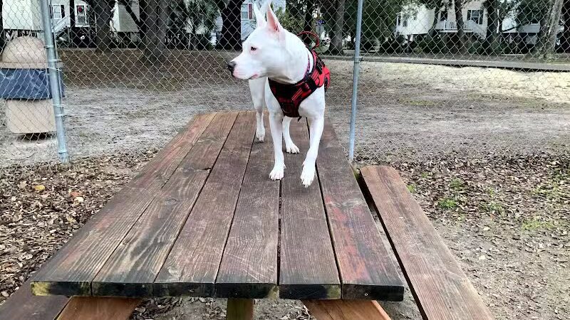 Surfside Beach Dog Park - Surfside Beach, SC