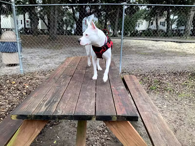 Surfside Beach Dog Park - Surfside Beach, SC