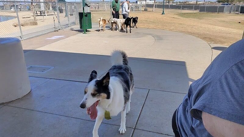 Large Dog Park - Surprise, AZ