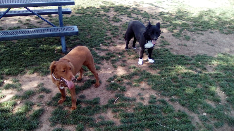 Large Dog Park - Surprise, AZ