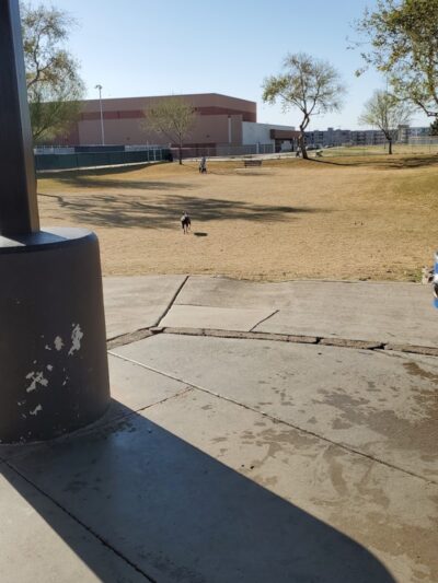 Large Dog Park - Surprise, AZ