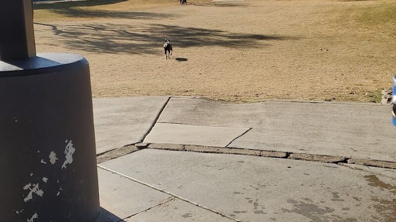 Large Dog Park - Surprise, AZ