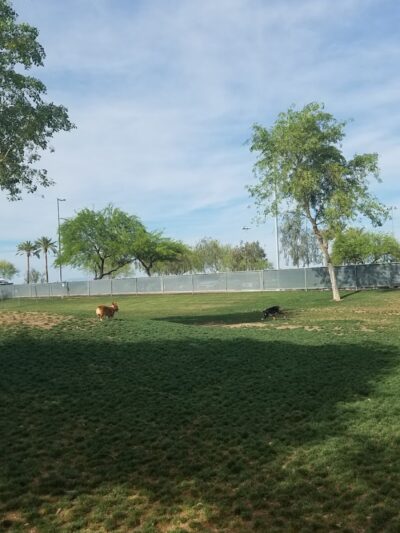 Small Dog Park - Surprise, AZ