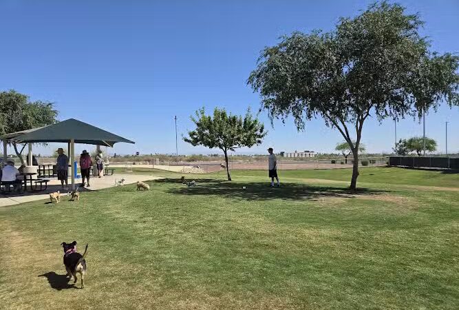 Small Dog Park - Surprise, AZ