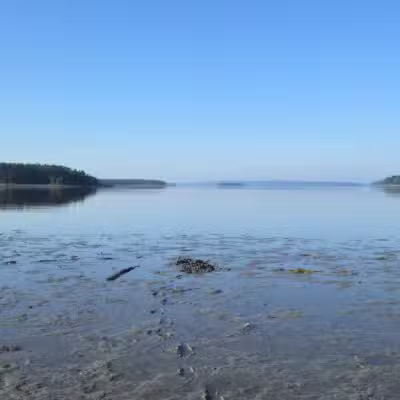 Carter Nature Preserve - Blue Hill Heritage Trust - Surry, ME