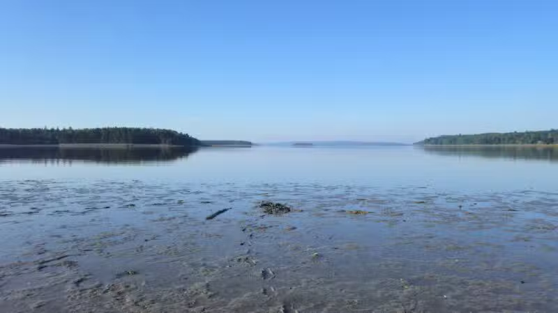 Carter Nature Preserve - Blue Hill Heritage Trust - Surry, ME