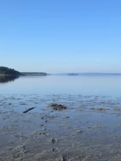 Carter Nature Preserve - Blue Hill Heritage Trust - Surry, ME