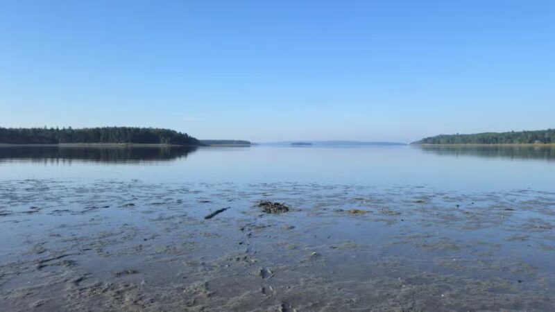 Carter Nature Preserve - Blue Hill Heritage Trust - Surry, ME