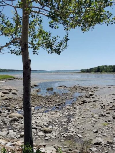Carter Nature Preserve - Blue Hill Heritage Trust - Surry, ME