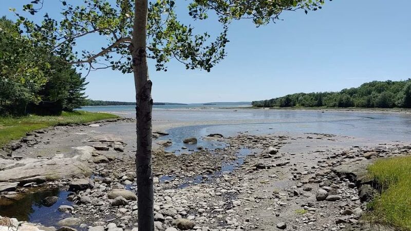 Carter Nature Preserve - Blue Hill Heritage Trust - Surry, ME