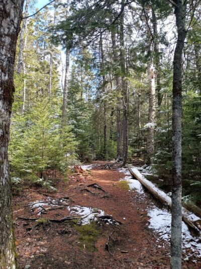 Carter Nature Preserve - Blue Hill Heritage Trust - Surry, ME