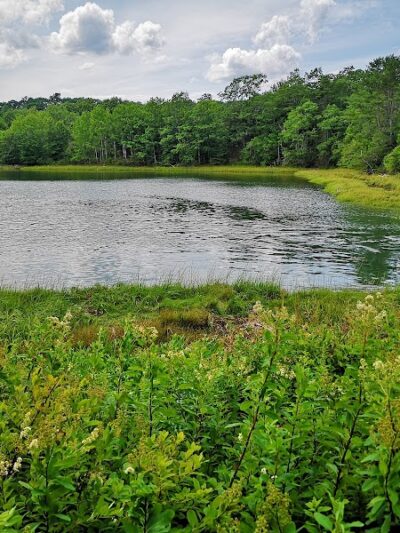 Carter Nature Preserve - Blue Hill Heritage Trust - Surry, ME