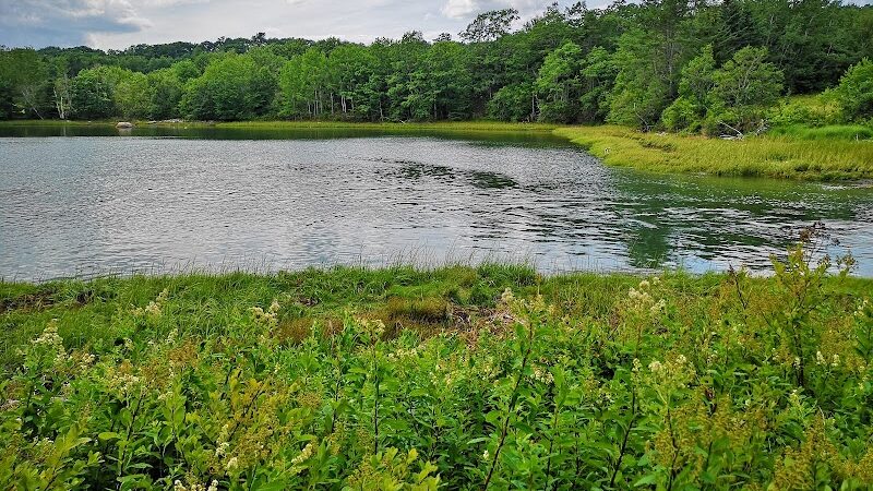 Carter Nature Preserve - Blue Hill Heritage Trust - Surry, ME