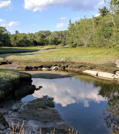 Carter Nature Preserve - Blue Hill Heritage Trust - Surry, ME