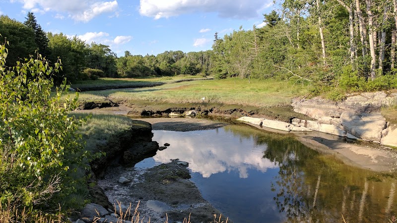 Carter Nature Preserve - Blue Hill Heritage Trust - Surry, ME