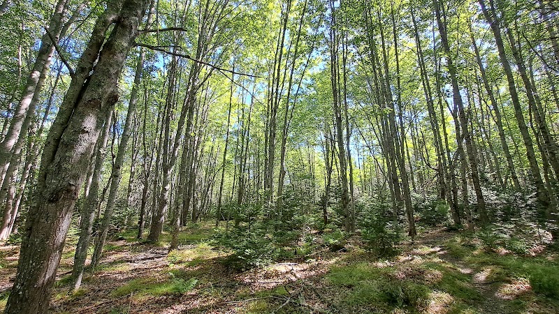 Carter Nature Preserve - Blue Hill Heritage Trust - Surry, ME
