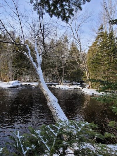 Patten Stream Preserve- Blue Hill Heritage Trust - Surry, ME
