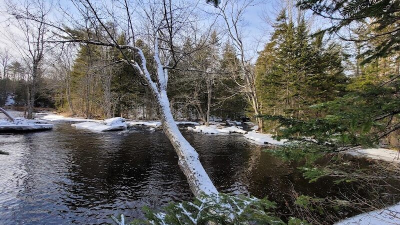 Patten Stream Preserve- Blue Hill Heritage Trust - Surry, ME