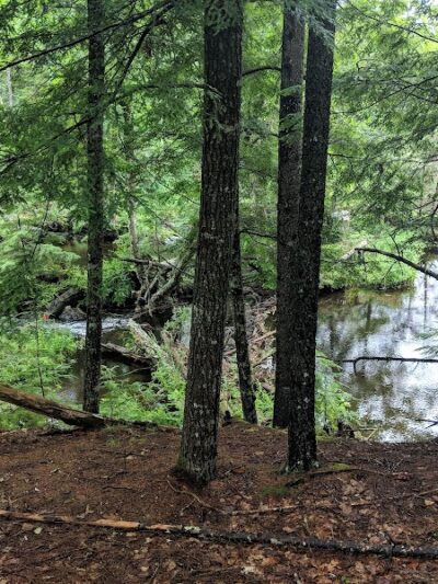 Patten Stream Preserve- Blue Hill Heritage Trust - Surry, ME