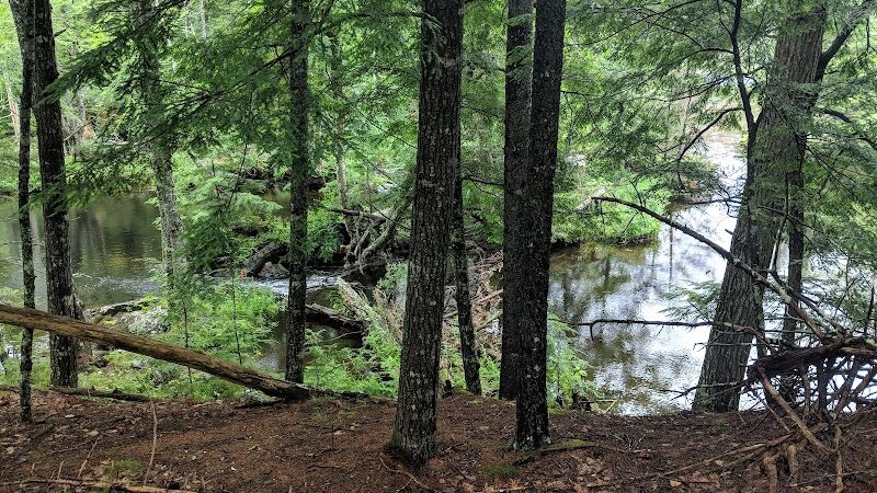 Patten Stream Preserve- Blue Hill Heritage Trust - Surry, ME