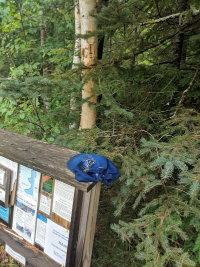 Patten Stream Preserve- Blue Hill Heritage Trust - Surry, ME