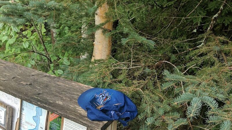 Patten Stream Preserve- Blue Hill Heritage Trust - Surry, ME