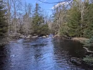 Patten Stream Preserve- Blue Hill Heritage Trust - Surry, ME