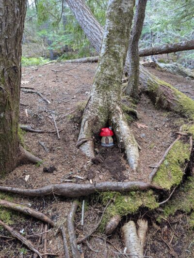 Patten Stream Preserve- Blue Hill Heritage Trust - Surry, ME