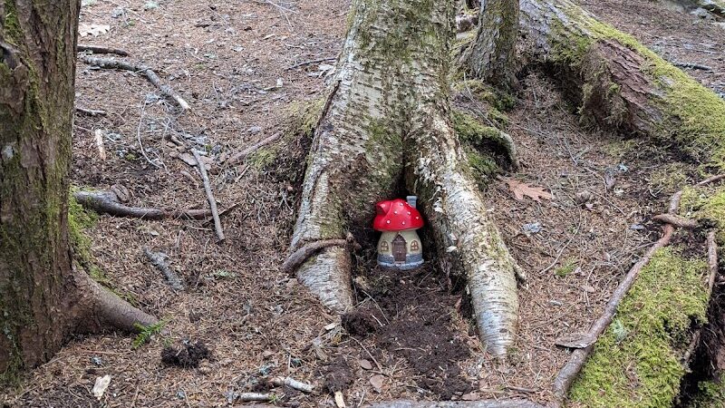 Patten Stream Preserve- Blue Hill Heritage Trust - Surry, ME