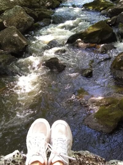 Patten Stream Preserve- Blue Hill Heritage Trust - Surry, ME