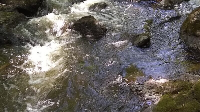 Patten Stream Preserve- Blue Hill Heritage Trust - Surry, ME