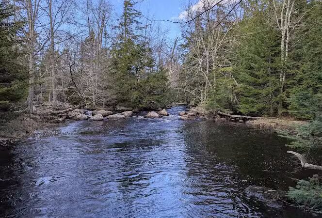 Patten Stream Preserve- Blue Hill Heritage Trust - Surry, ME