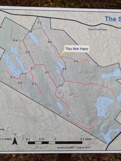 Surry Forest, Blue Hill Heritage Trust - Surry, ME