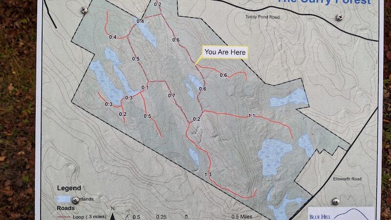 Surry Forest, Blue Hill Heritage Trust - Surry, ME