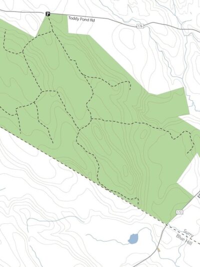 Surry Forest, Blue Hill Heritage Trust - Surry, ME