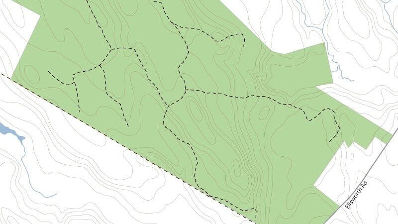 Surry Forest, Blue Hill Heritage Trust - Surry, ME