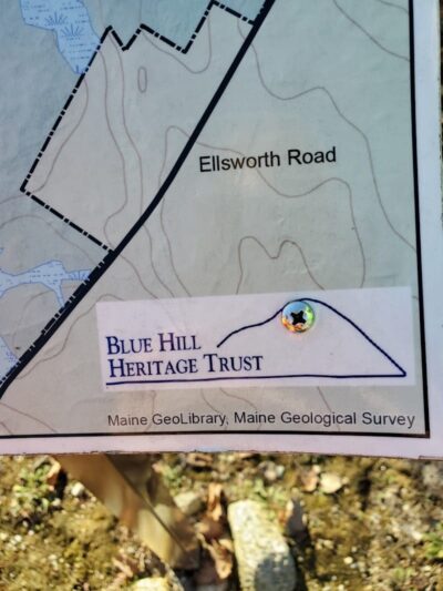 Surry Forest, Blue Hill Heritage Trust - Surry, ME