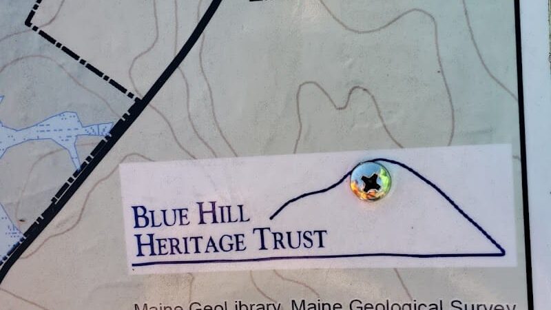 Surry Forest, Blue Hill Heritage Trust - Surry, ME