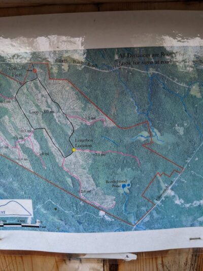 Surry Forest, Blue Hill Heritage Trust - Surry, ME