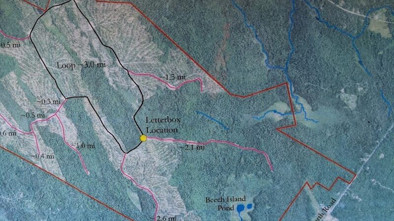 Surry Forest, Blue Hill Heritage Trust - Surry, ME