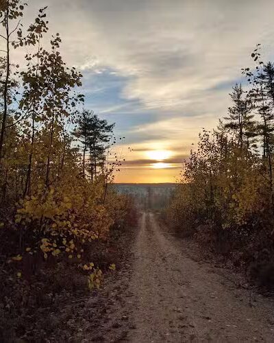 Surry Forest, Blue Hill Heritage Trust - Surry, ME