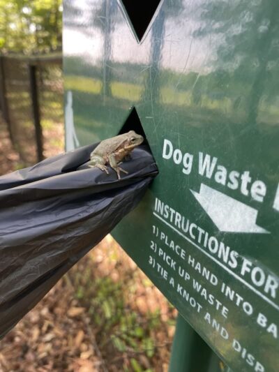 Swansboro Municipal Dog Park - Swansboro, NC