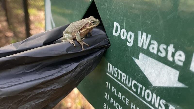 Swansboro Municipal Dog Park - Swansboro, NC
