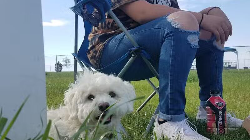 Newman Dog Park - Sweetwater, TX