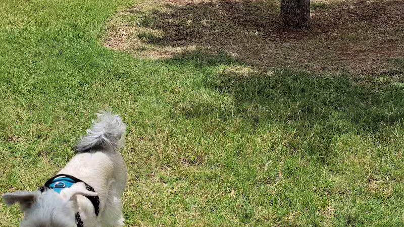 Newman Dog Park - Sweetwater, TX