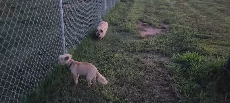Newman Dog Park - Sweetwater, TX